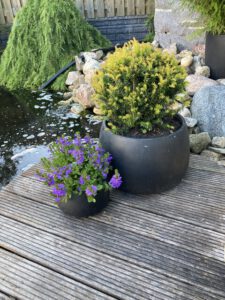 Lees meer over het artikel De Japanse tuin in een pot