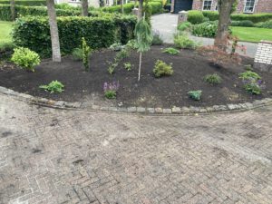 Lees meer over het artikel Border aanplanten met optische diepte