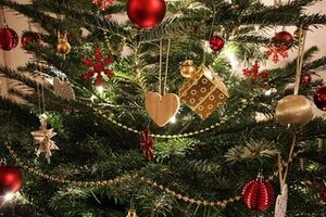 Lees meer over het artikel Help jouw kerstboom groen de feestdagen door!