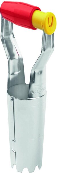 Wolf bollenplanterannemonen bloembollen planten