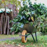 tuinieren in februari 