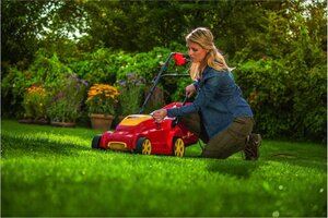 Lees meer over het artikel Gazonverzorging in de Herfst: Houd je Gazon Gezond en Groen